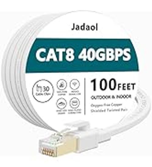 Cat5 100ft