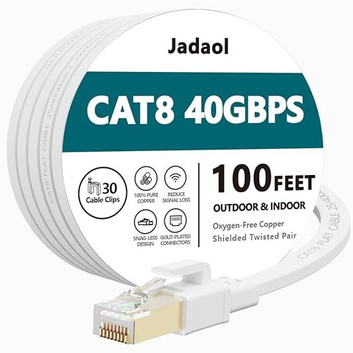 Cat5 100ft