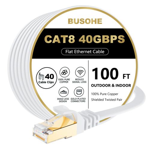 Cat5 100ft