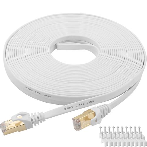 Cat5 100ft