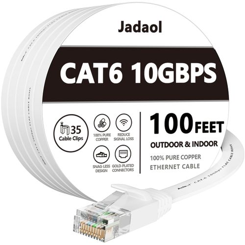 Cat5 100ft